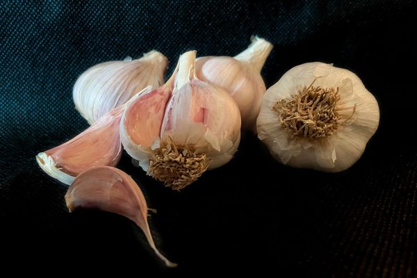 Picture of Persian Star Garlic from Calico Blossom Farm